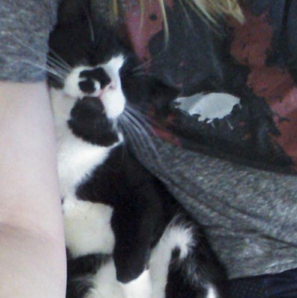 Meet your Posher, Catarina - Picture 4 of 8